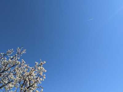 gallery-img