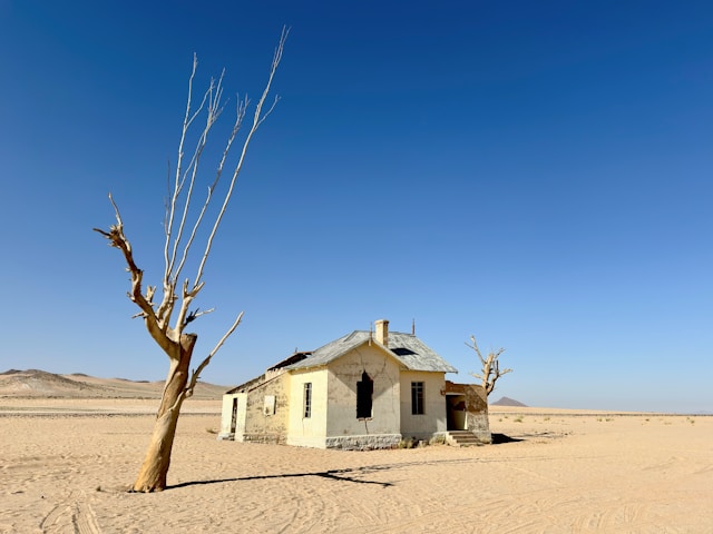 workshops-image